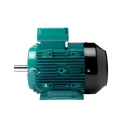  Crompton GD132S 10 HP Premium Efficiency Motor Image-4