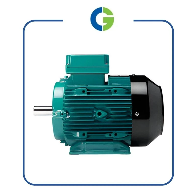  Crompton GD80 1 HP Premium Efficiency Motor Image-5