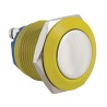 RS PRO Push Button Switch Momentary Panel Mount 19 mm Cutout SPST IP65 Rated 36 V dc 914-3566