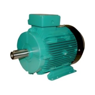 Crompton GD112M 6 HP Premium Efficiency Motor Image-1