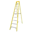 RS PRO Glass Reinforced Polyester 10 Steps Step Ladder, 2.11cm Platform Height, 2.8m Open Length 914-3493