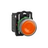 Schneider Electric Harmony XB5 Series Illuminated Push Button Switch, Spring Return, Panel Mount, 22 mm Cutout XB5AW35B5