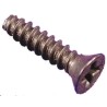 Hammond Steel Self-Tapping Screw 13 mm 1591TS100BK