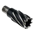 RS PRO HSS Magnetic Drill Bit 30 mm Cutter Diameter 50 mm Cutting Depth Straight Flute Bright Finish 19.05 mm Shank 123-8502