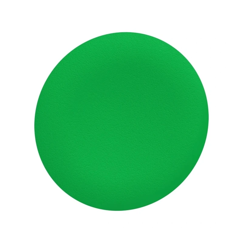 Schneider Electric Push Button Head Cap Green Plain Flush Mounted Compatible with Push Button Switches Series ZBAF3