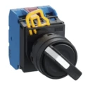 Idec Spring Return Selector Switch SPDT 22 mm Cutout Diameter 2 Positions YW1S-21E11