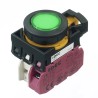 Idec CW Series Illuminated Momentary Push Button Switch Panel Mount 22 mm Cutout SPST Green LED IP65 CW1L-M1E01QM4G