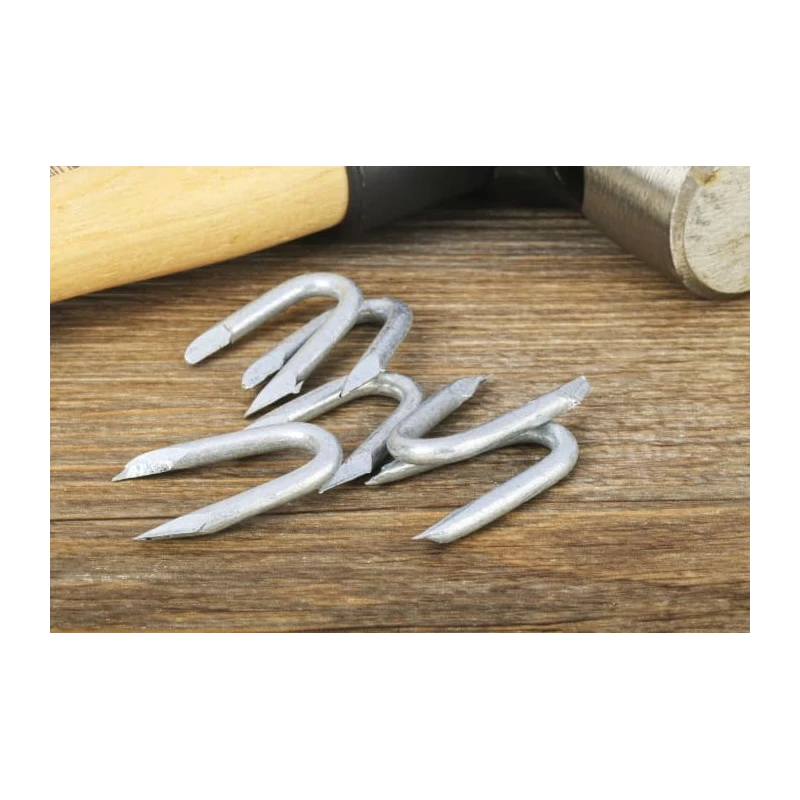 RS PRO Galvanised Staple Nail 30 mm Length 3.55 mm Diameter 500 g Bag 170-1660