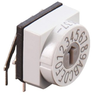 Hartmann Rotary Flush Rotary Coded DIP Switch Through Hole PT65101L254