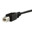 StarTech.com USB 2.0 Female USB Type B to Female USB B Connector Cable Black 900mm USBPNLBFBM3