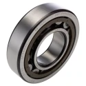 SKF Roller Bearing, 55 mm Inside Diameter, 120 mm Outside Diameter, Shielded, Non-Metallic Cage NU 311 ECP