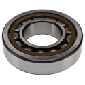 SKF Roller Bearing, 55 mm Inside Diameter, 120 mm Outside Diameter, Shielded, Non-Metallic Cage NU 311 ECP