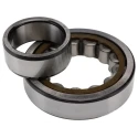 SKF Roller Bearing, 55 mm Inside Diameter, 120 mm Outside Diameter, Shielded, Non-Metallic Cage NU 311 ECP