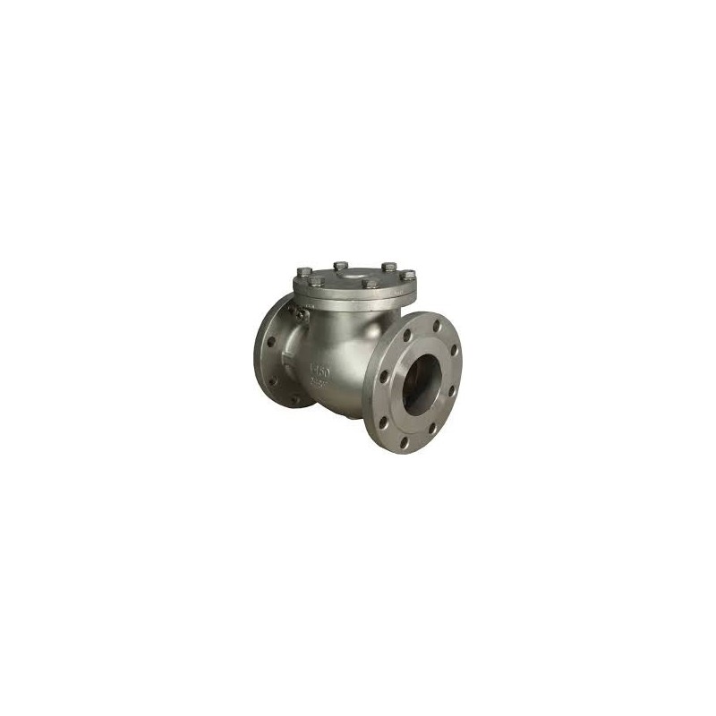 stainless-steel-check-valve-7747