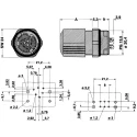 Phoenix Contact Circular Connector Adapter Q Series, , Straight Orientation, 17.5A, 500V, Tin Plated Copper Alloy IP67