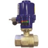 RS PRO 24V dc 2 Port Motorised Valve, 3/4 in Pipe Size, 1000 psi 760-5719