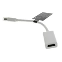 Roline Male Mini DisplayPort to Female HDMI DisplayPort Cable, 100 mm 790-3937
