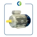  Crompton GD90S 2 HP High Efficiency Motor Image-5