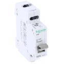 Schneider Electric 2-Pole Isolator Switch IP40, 20 to 125 A Rating, ISW Series 