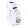 Schneider Electric 2-Pole Isolator Switch IP40, 20 to 125 A Rating, ISW Series