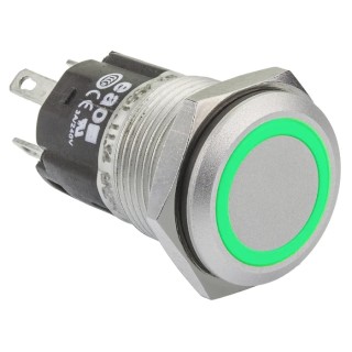EAO Illuminated Momentary Push Button Switch Panel Mount 16 mm Cutout SPDT Green LED IP65 IP67 250V 82-4551.1134