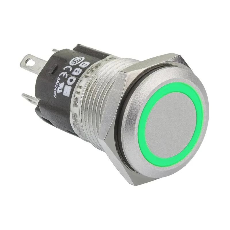 EAO Illuminated Momentary Push Button Switch Panel Mount 16 mm Cutout SPDT Green LED IP65 IP67 250V 82-4551.1134