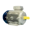 Crompton GD132M* 12.5 HP High Efficiency Motor Image-2
