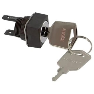 Omron Miniature IP65 Cylindrical Bezel Key Switch, DPDT 2-Position Latching 