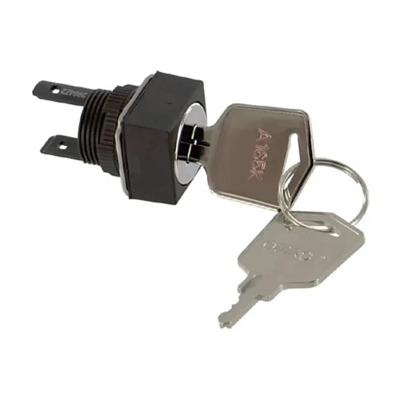 Omron Miniature IP65 Cylindrical Bezel Key Switch, DPDT 2-Position Latching 