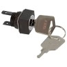 Omron Miniature IP65 Cylindrical Bezel Key Switch, DPDT 2-Position Latching