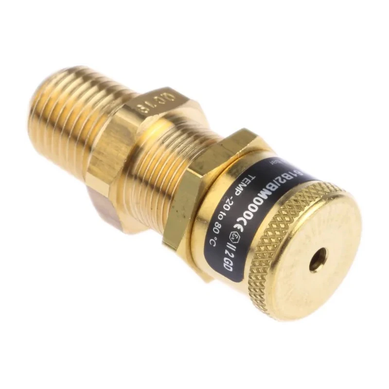 Norgren Quick Exhaust Valve, Brass, Male Threaded R G 1/4 in Connection, 0.63 to 1.6 Bar Operating Pressure, 61B2/BM000