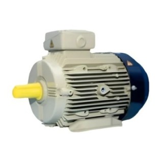 Crompton GD112M 5 HP High Efficiency Motor Image-1