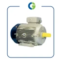  Crompton GD112M 3 HP High Efficiency Motor Image-4