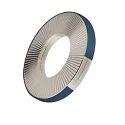 Heico Steel Delta Protect Ring Lock Locking & Anti-Vibration Washer M16, Steel, 3.5mm Thickness H-HLRS-16