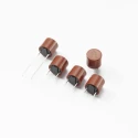 Wickmann Non-Resettable Fuse 2.5A 250V AC TR5® Time-Lag Type RoHS VDE Series 372 37212500411