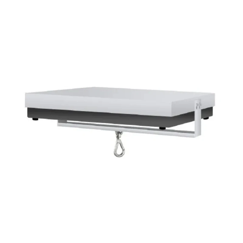 Kern Platform Weighing Scale 20kg Capacity, 0.1g Resolution, RS232 Interface DS 20K0.1