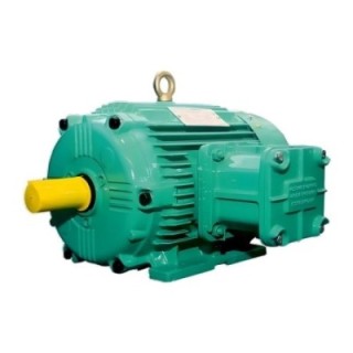 Crompton PE80 0.5 HP Flame Proof Motor Image-28