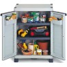 RS PRO Polypropylene Grey Base Cabinet 700 mm x 438 mm x 976 mm 351-2613