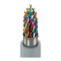 Belden 9519 Series Multipair Data Cable 19 Pairs 38 Cores 0.2 mm² Stranded Tin Copper Wire 152m Silver PVC 9519 060500