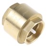RS PRO Brass Threaded BSP Single Check Valve 2 in, 12 bar 486-233