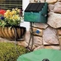 solar-rainmaker-automatic-plant-watering-system-8677