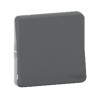 Schneider Electric Light Switch Surface Flush Panel Cutout 40 mm Rocker Grey Mureva Styl MUR37021