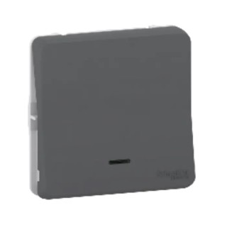 Schneider Electric Grey Push Button Light Switch, 1 Gang, Mureva Styl Series, LED Illumination, 10A, 250V MUR35127