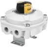 Festo Screw Pneumatic Cylinder & Actuator Switch IP67, Angular Construction, Die Cast SRBE-CA3-YR90-MW-22A-1W-C2M20-EX