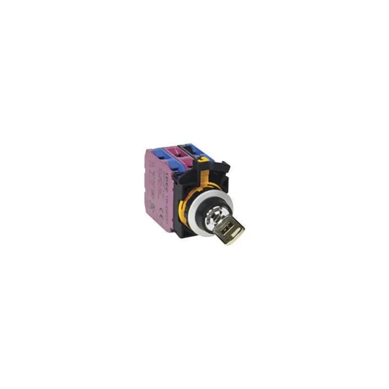 Idec IP65 Key Switch DPST 10A 3-Position Spring Return Straight Key 