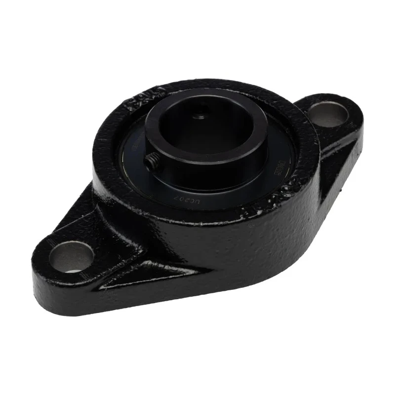 FAG Flange Bearing Unit, 2 Hole, Cast Iron, 35 mm Inside Diameter UCFL207-J7