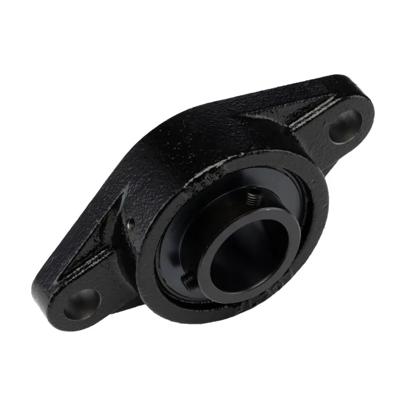 FAG Flange Bearing Unit, 2 Hole, Cast Iron, 35 mm Inside Diameter UCFL207-J7