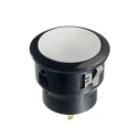 APEM FP Series Push Button Switch, Latching, Panel Mount, 30 mm Cutout, DPDT, 12 V dc FPDR1B1422X0XXX