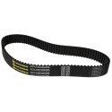 RS PRO HTD Timing Belt 100 Teeth, 800 mm Length, 30 mm Width, Pitch 8 mm 175-5242