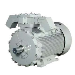 Crompton E112M 5 HP Flame Proof Motor Image-1